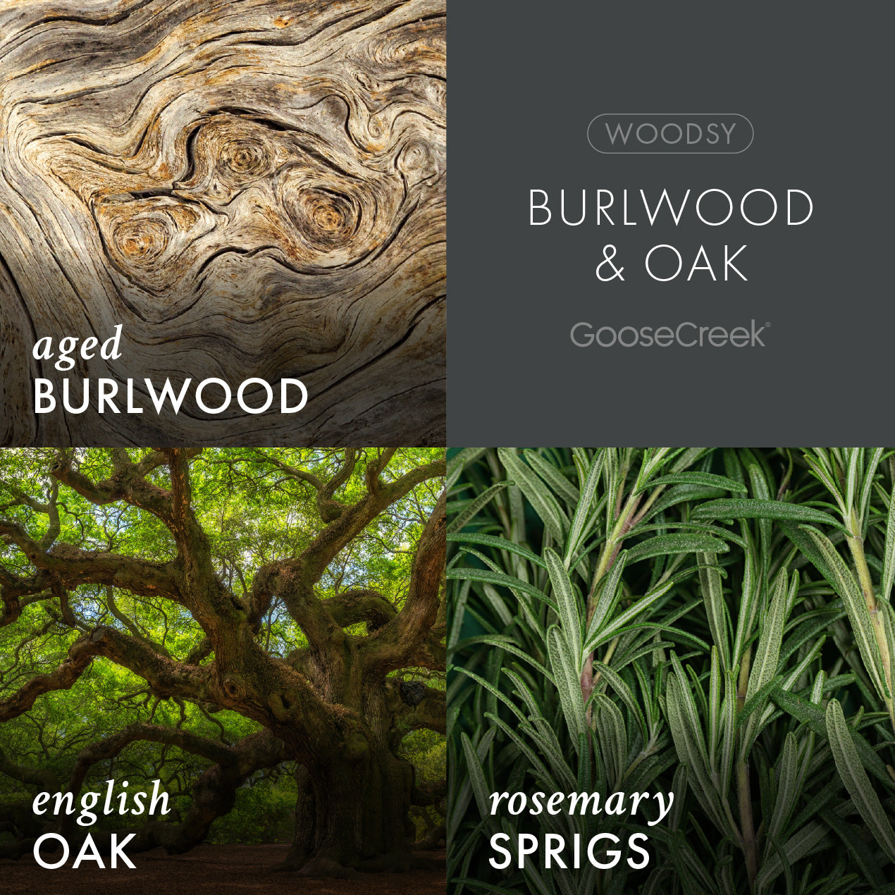 Burlwood & Oak Plug-in Refill