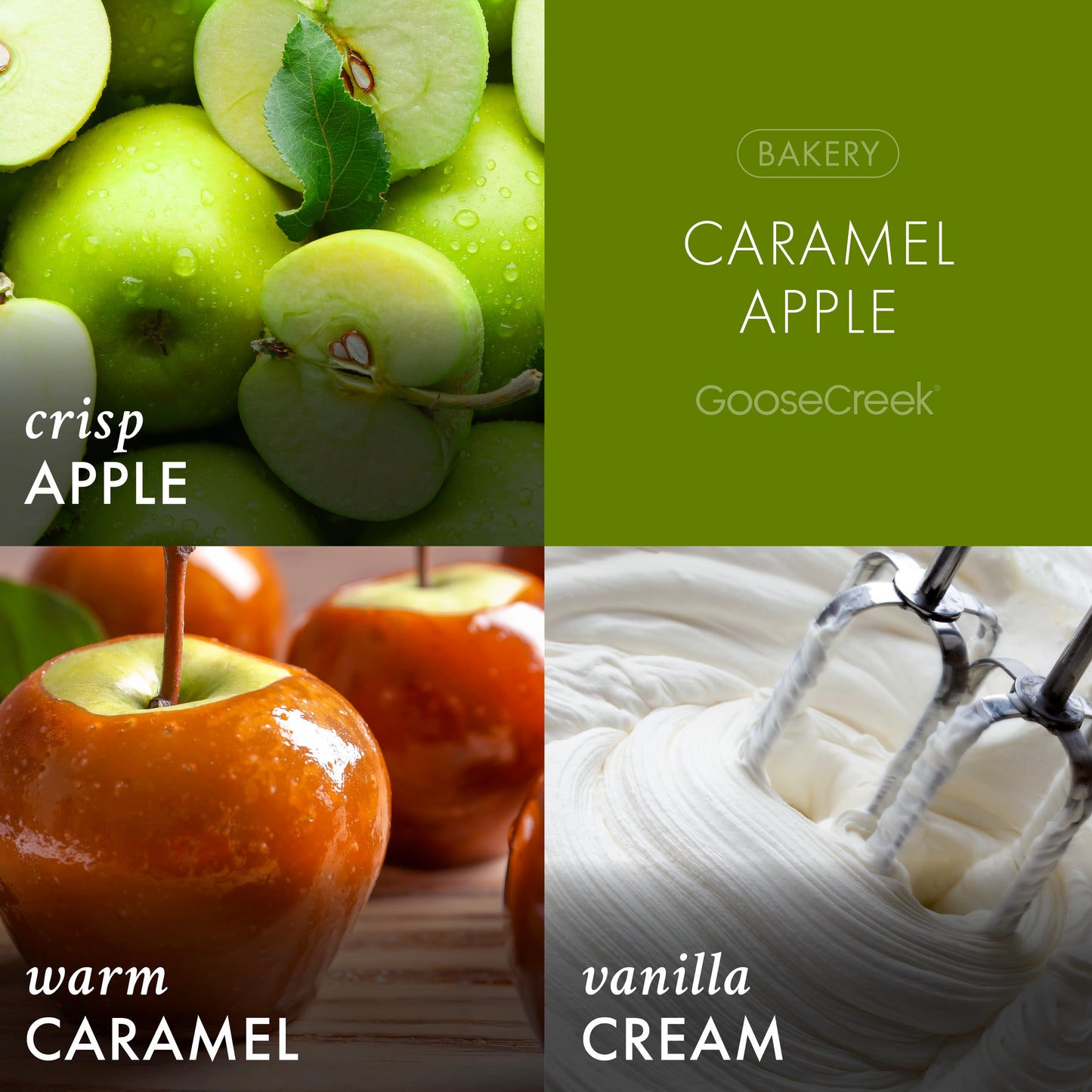 Caramel Apple Plug-in Refill