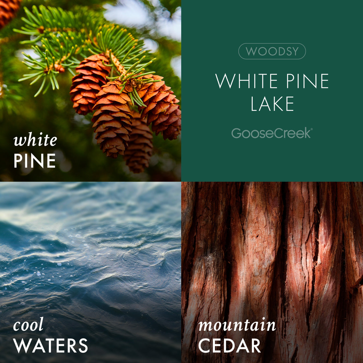 White Pine Lake Foaming Hand Soap