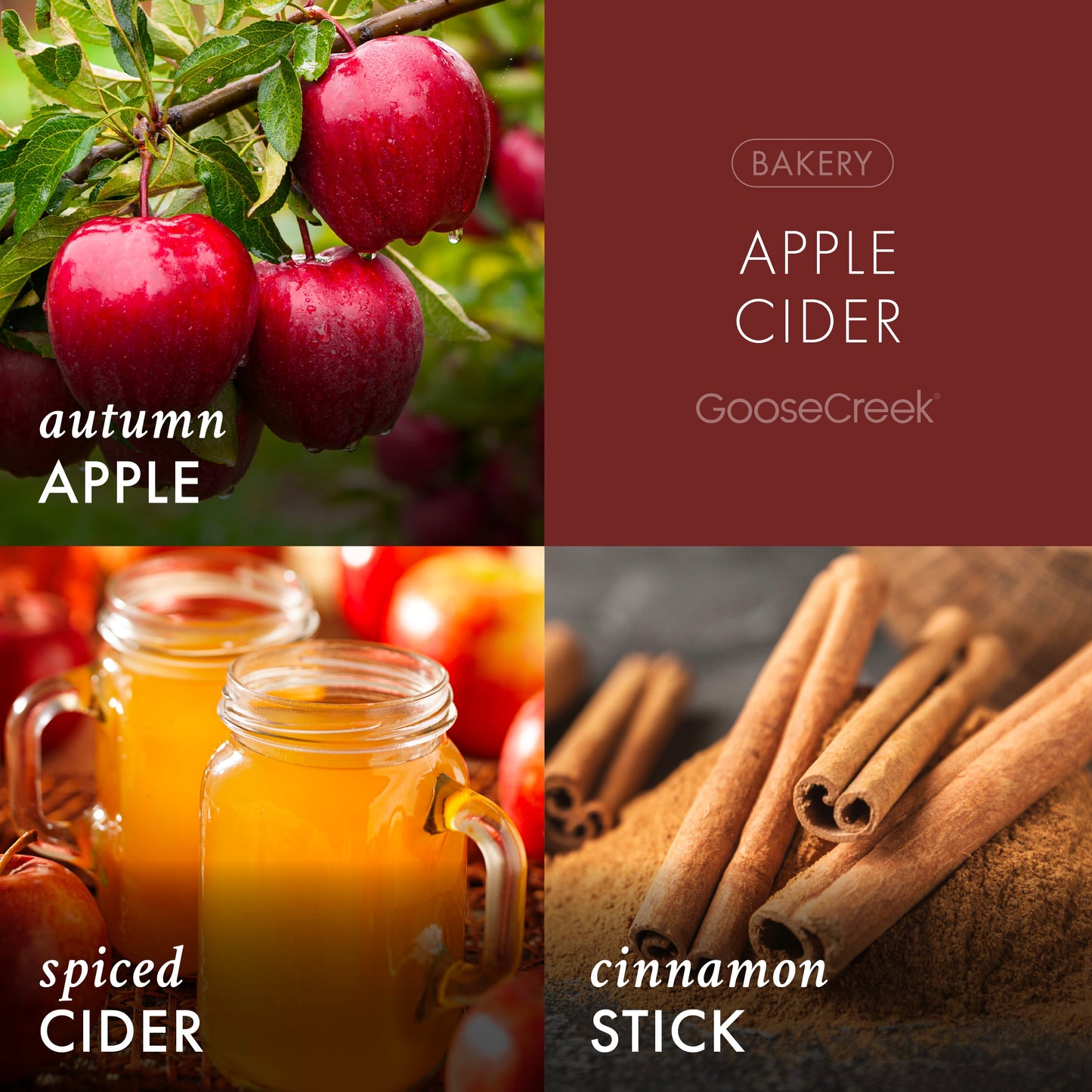 Apple Cider 3-Wick Candle