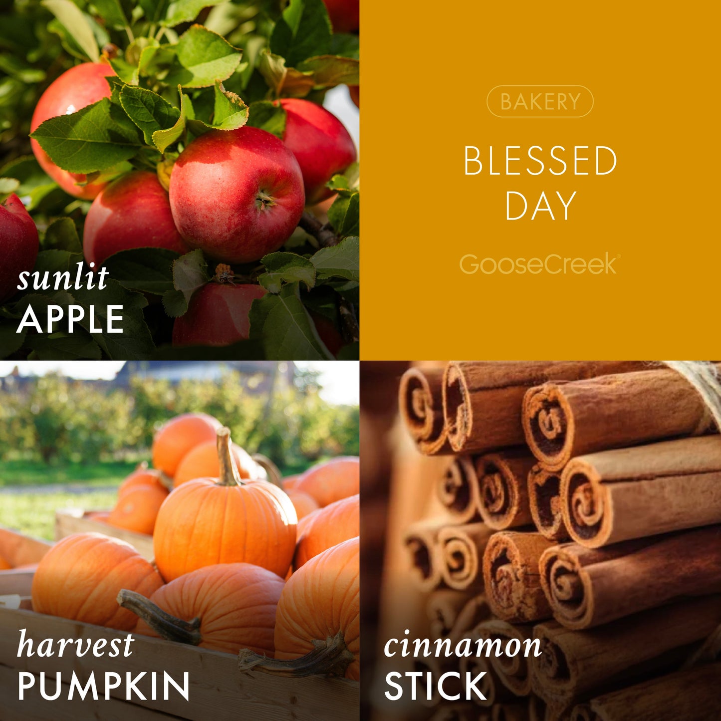 Blessed Day 3-Wick Candle