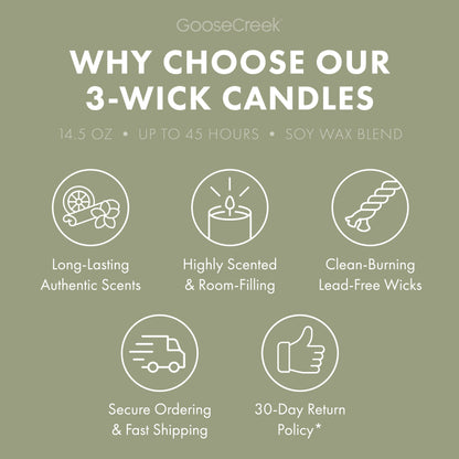 Evergreen Trail 3-Wick Candle