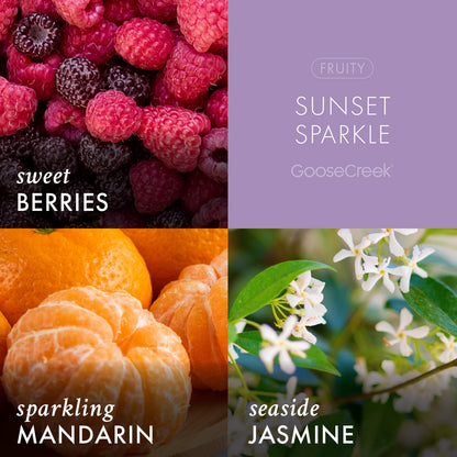 Sunset Sparkle Lush Foaming Hand Soap