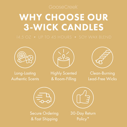 Warm Snickerdoodle 3-Wick Candle